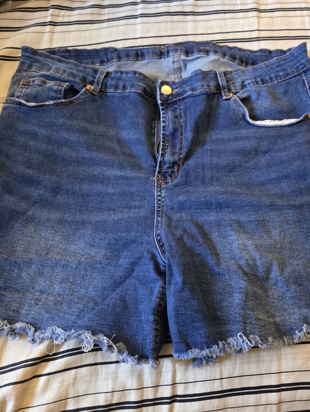 Women's Blue High-Rise Denim Jean Shorts with Frayed Hem